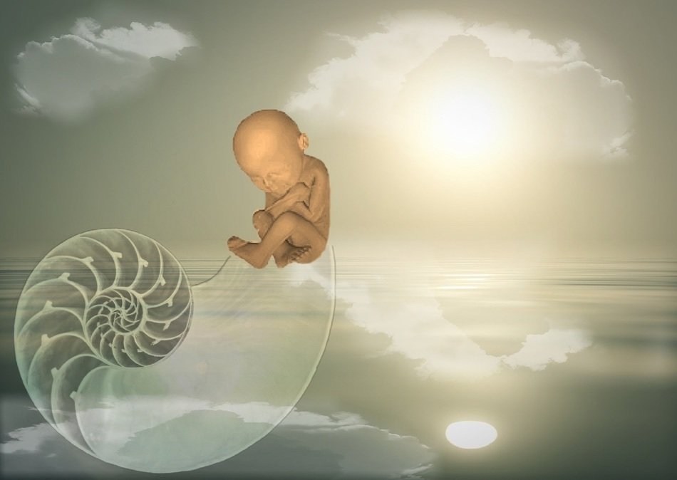 newborn baby in the shell