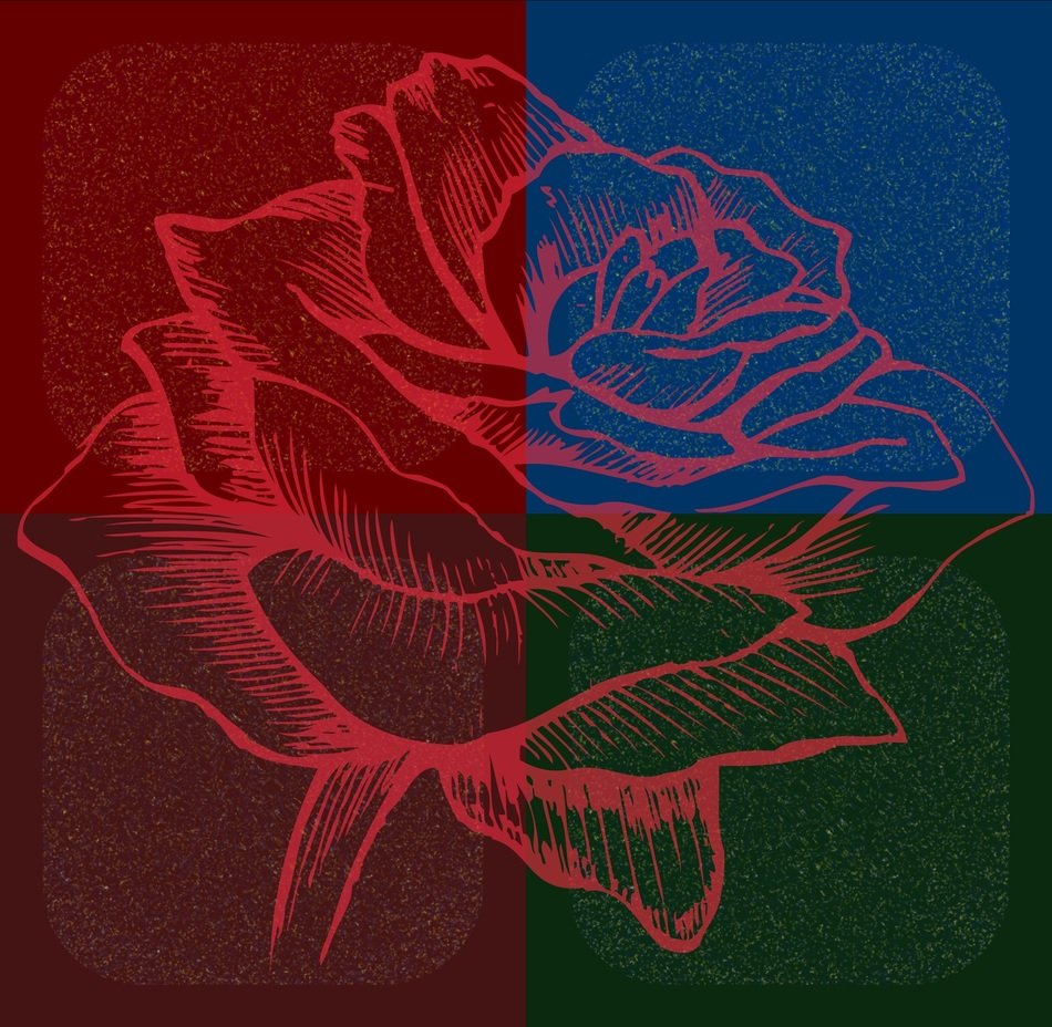 Rose red and blue drawing free image download
