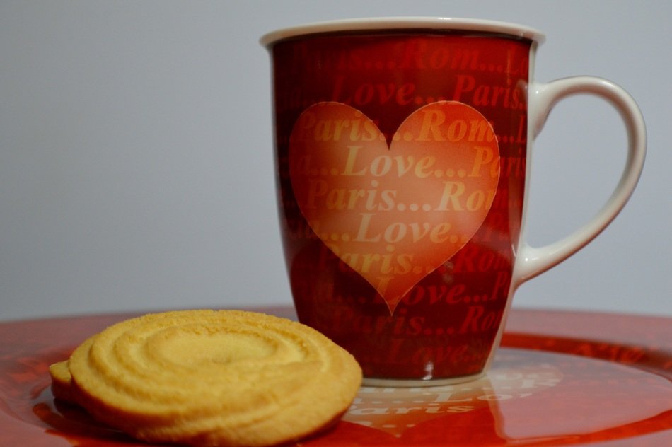 cup of tea and biscuit