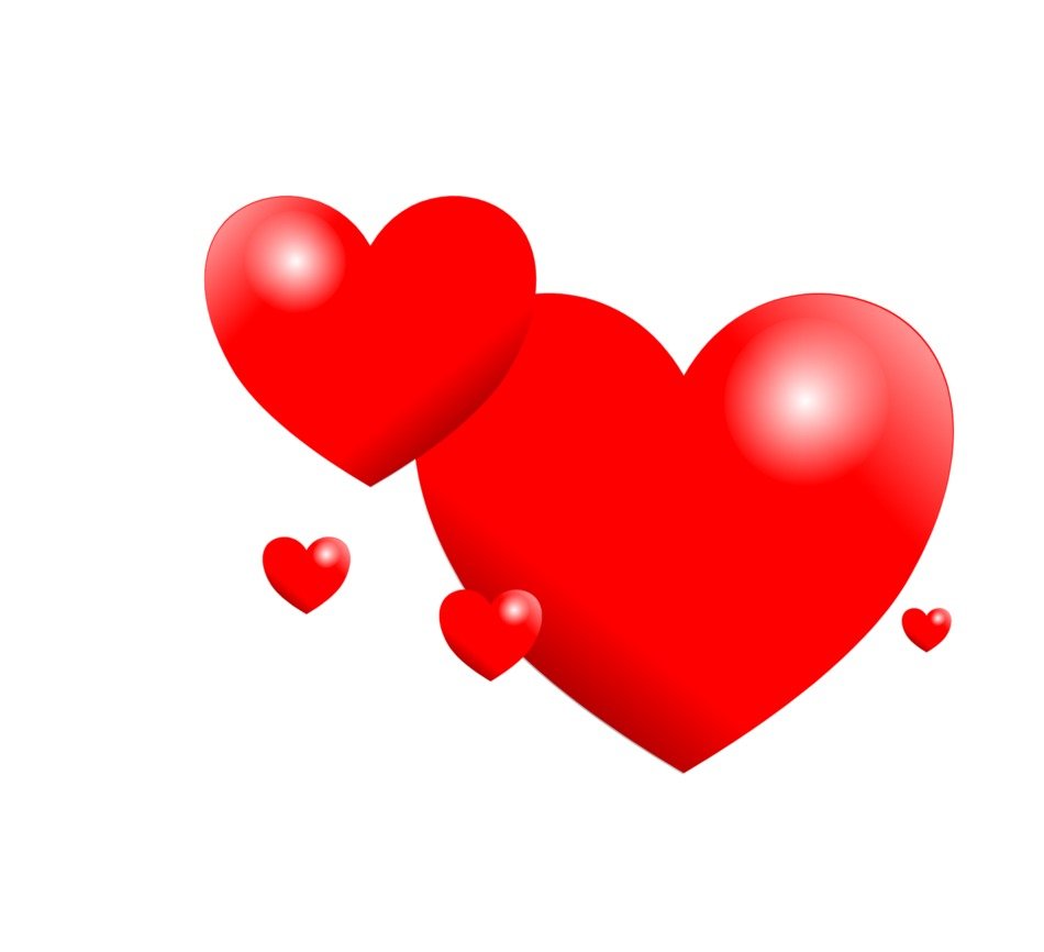 red hearts on the white background