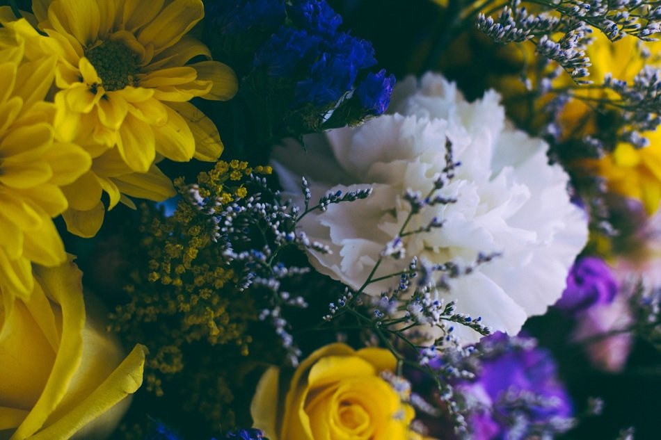 strikingly beautiful flowers