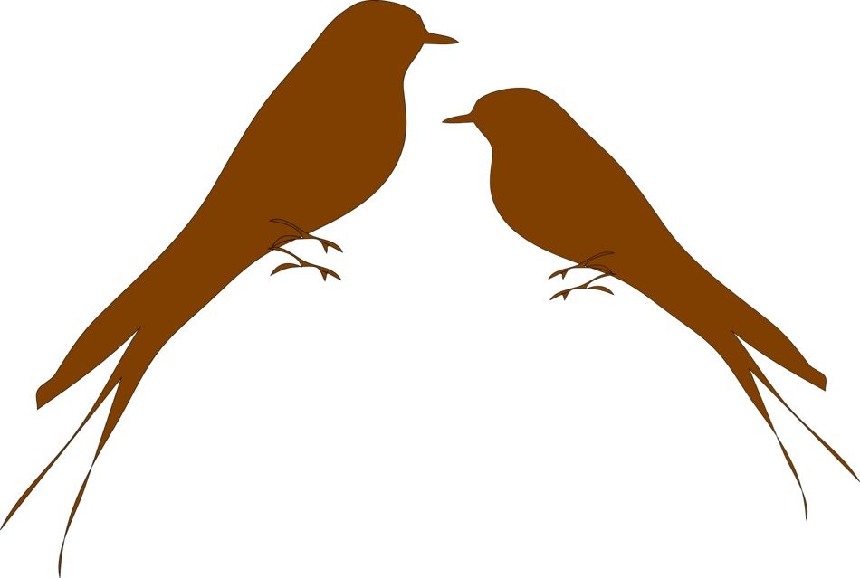graphic image of two brown swallows