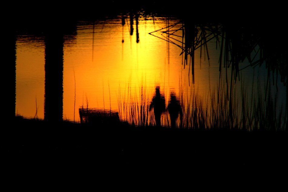 reflection of sunset in the water