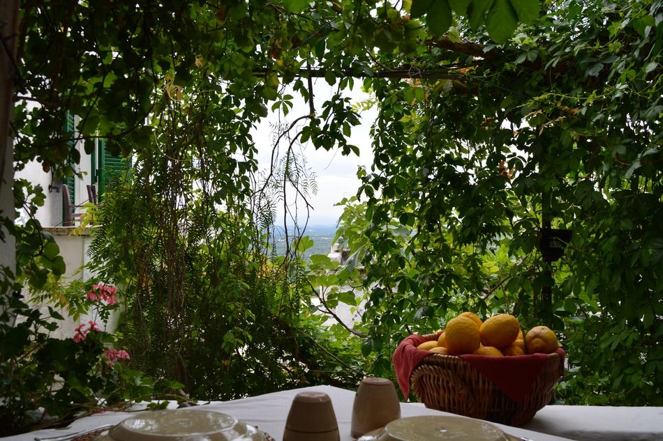 Lemon in barley on table green plants with the sea view