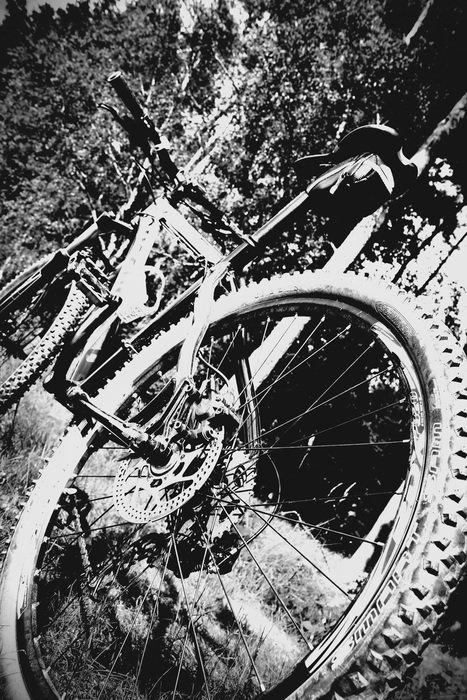 season round cycling