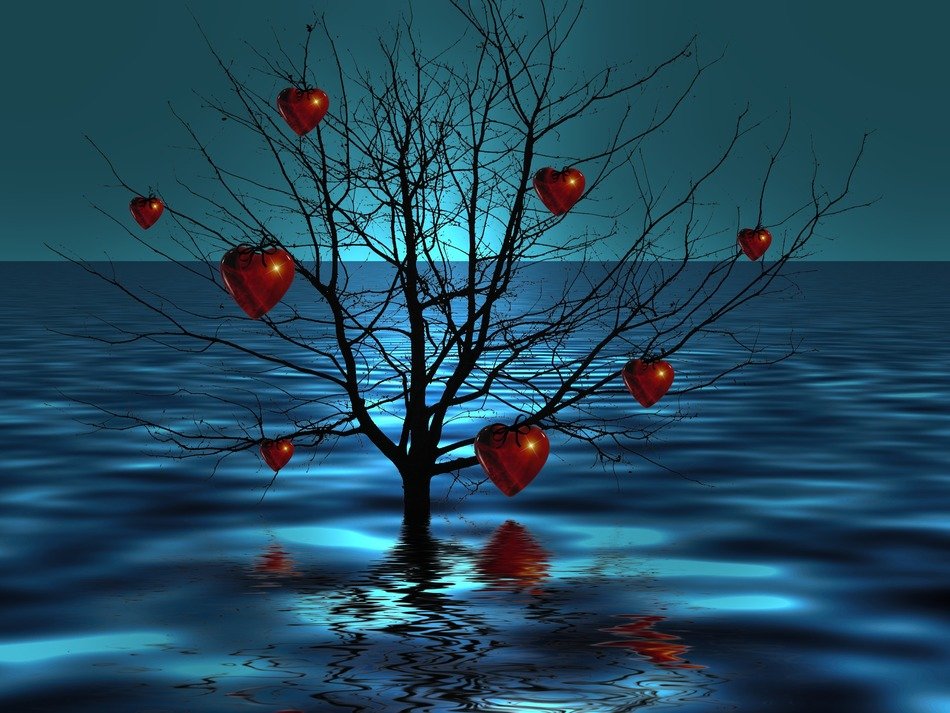 Tree in the water