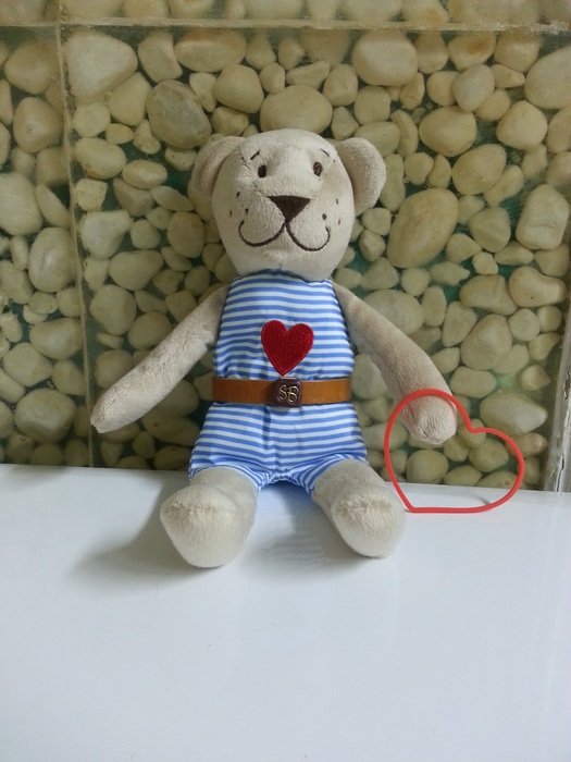 picture of the teddy bear