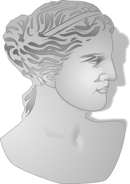 graphic image of a bust of aphrodite