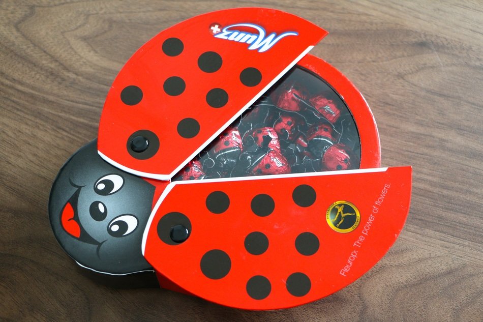 chocolate box shaped like ladybug