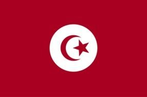 flag of tunisia as picture