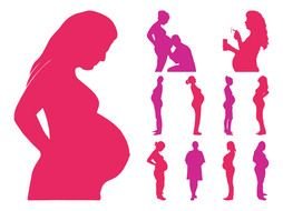 Pregnant Woman pink Silhouette drawing