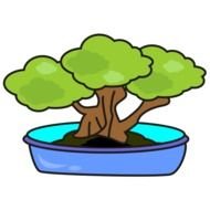 Bonsai Tree Clip Art N10