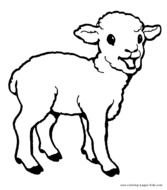 Sheep Coloring Page N3