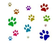 Bear Paw Print Clip Art drawing