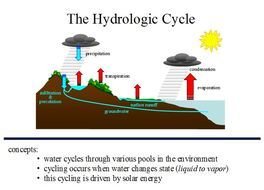 Water Cycle Diagram N5