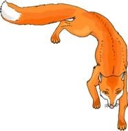 Fox Clip Art N69