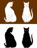 painted two white cats and two black