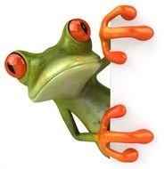curious ceramic frog