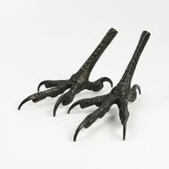 Hawk Feet with sharp claws