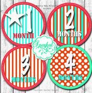 Baby MONTHLY STICKERS Circus Digital Milestone Stickers DIY