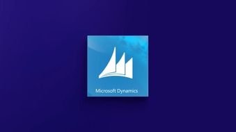 MS Dynamics