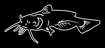 white fish on black drawing