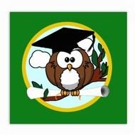 Cute Cartoon Owls N6