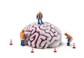 Brain repair, render