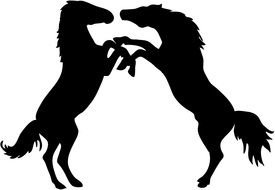 Horses Silhouette drawing