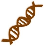 DNA Clip Art N19