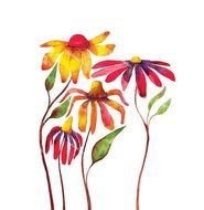 Watercolor Flower Clip Art N2