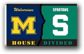 Ä°llustration of House Divided Michigan State