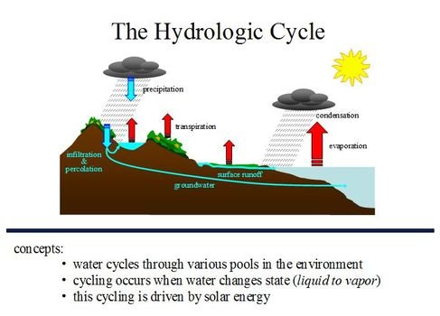 Water Cycle Diagram N5