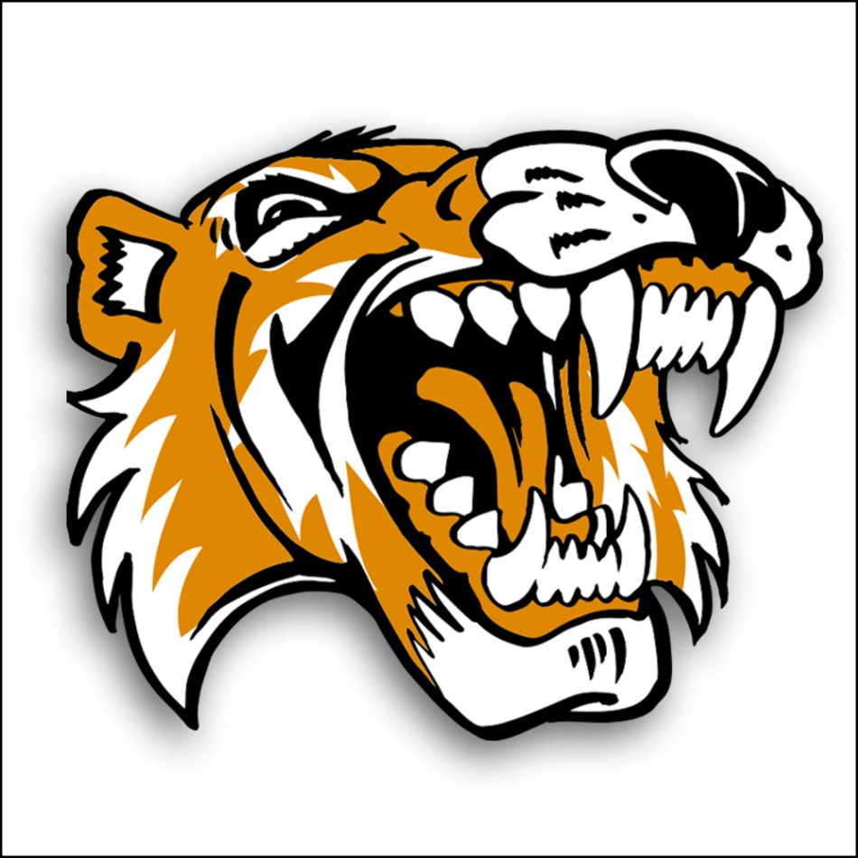 Tiger Head Clip Art N17