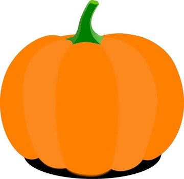 Citrouille Dessin Anim eacute Orange Souches Vert