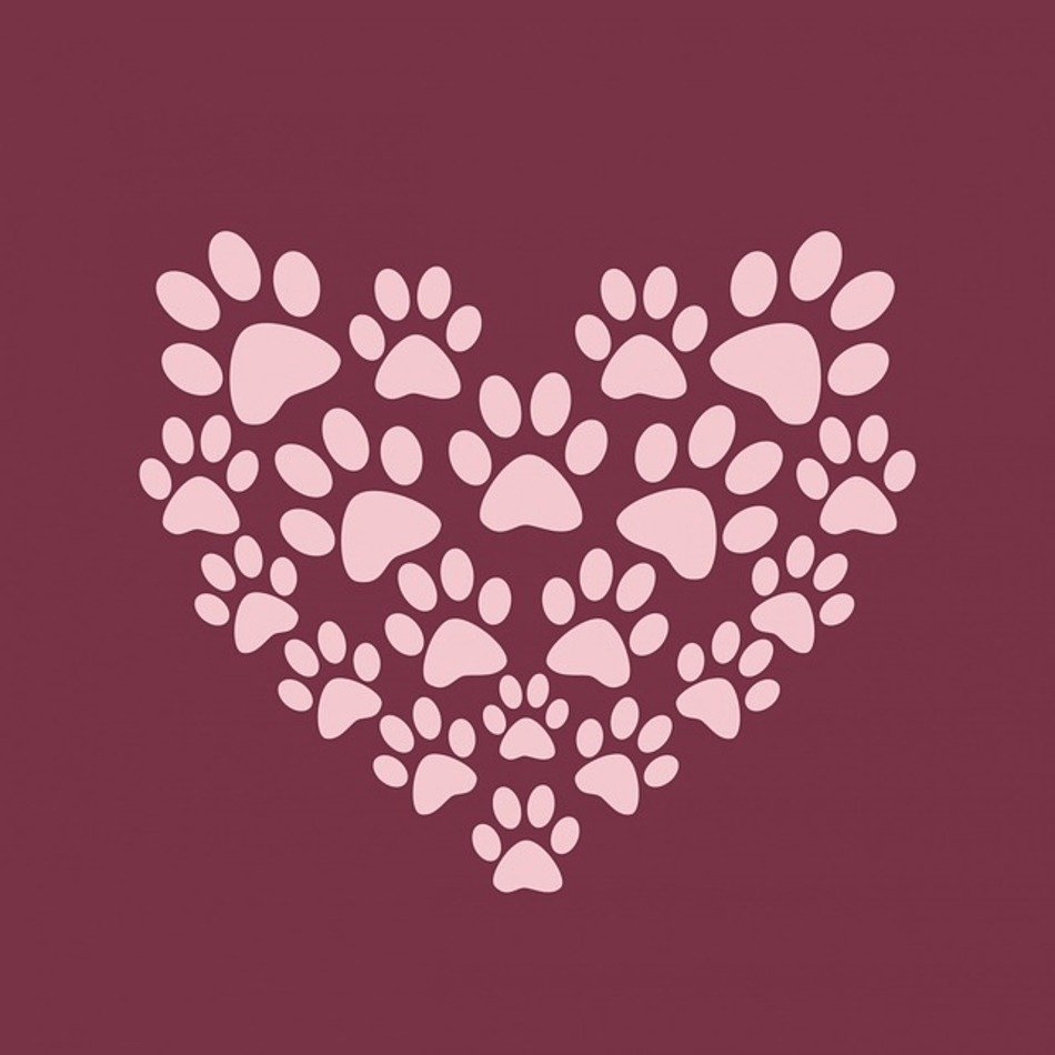 Dog Paw Print Heart N8