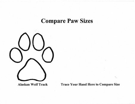 Wolf Paw Print N5
