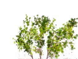 Flower Tree Clip Art drawing