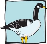 Clip Art Vector Online Royalty N2