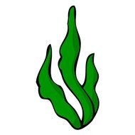 Seaweed Clip Art N35