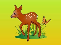 Deer Illustration drawing