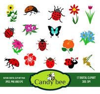 Ladybug Clipart Insect Clip Art Flowers And Leaf Commerical