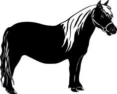 Horse And Pony Clip Art
