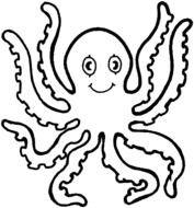 Octopus as a graphic illustration