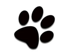Cat Paw