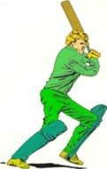 Ä°llustration of Cricket player