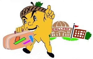 Acorn college drawing