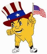 Patriotic Acorn as a graphic illustration
