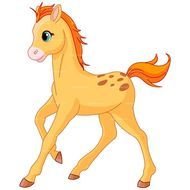 Colt Horse