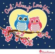 Love Valentines Day Owls